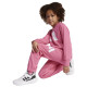 Adidas Παιδικές φόρμες σετ Essentials Big Logo French Terry Joggers Set